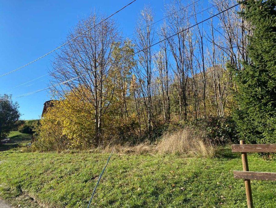 Vente Terrain HABERE POCHE  141 000 €