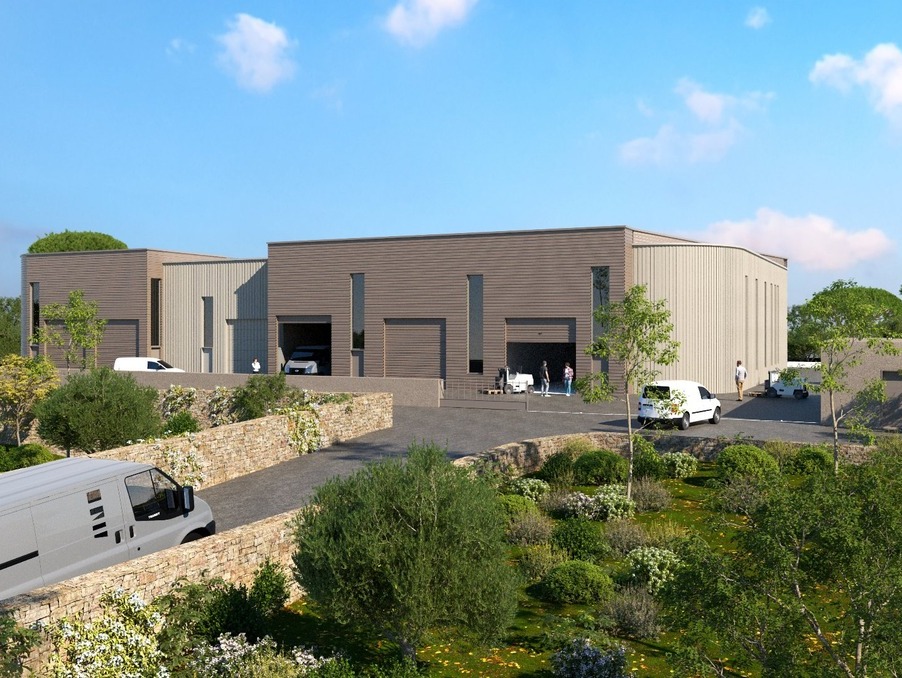Vente Professionnel SAINT GEORGES D'ORQUES  393 640 €