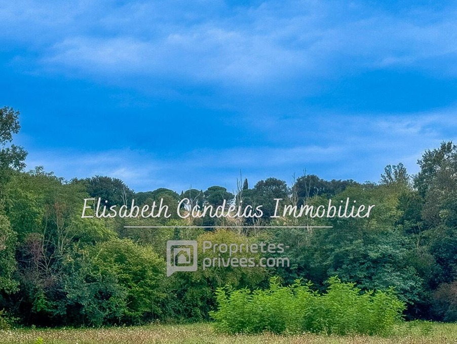 Vente Terrain Saint-Sulpice-sur-Lèze 84 990 €