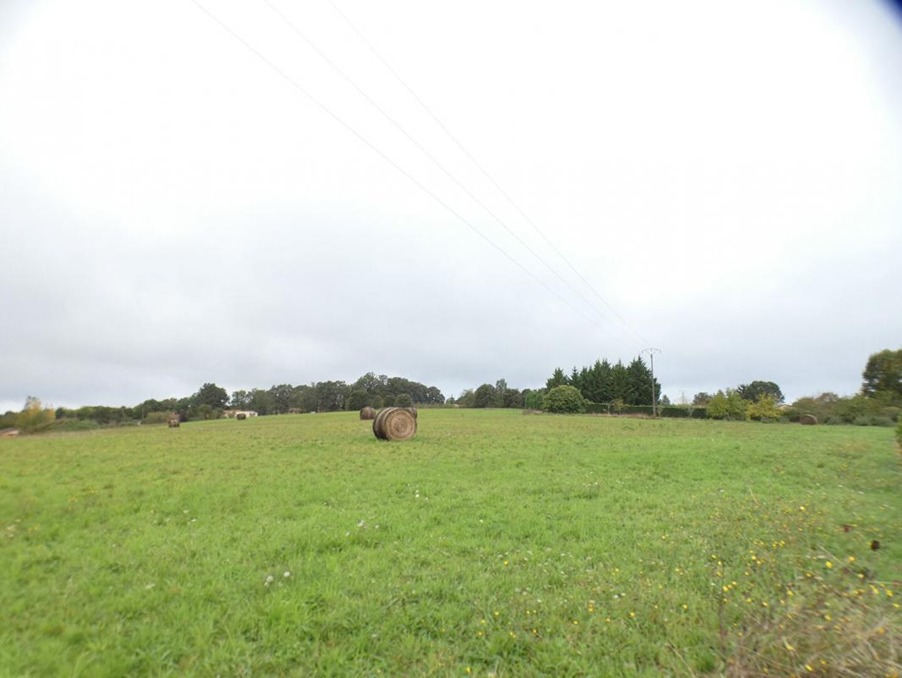 Vente Terrain Rouffignac-Saint-Cernin-de-Reilhac 40 000 €