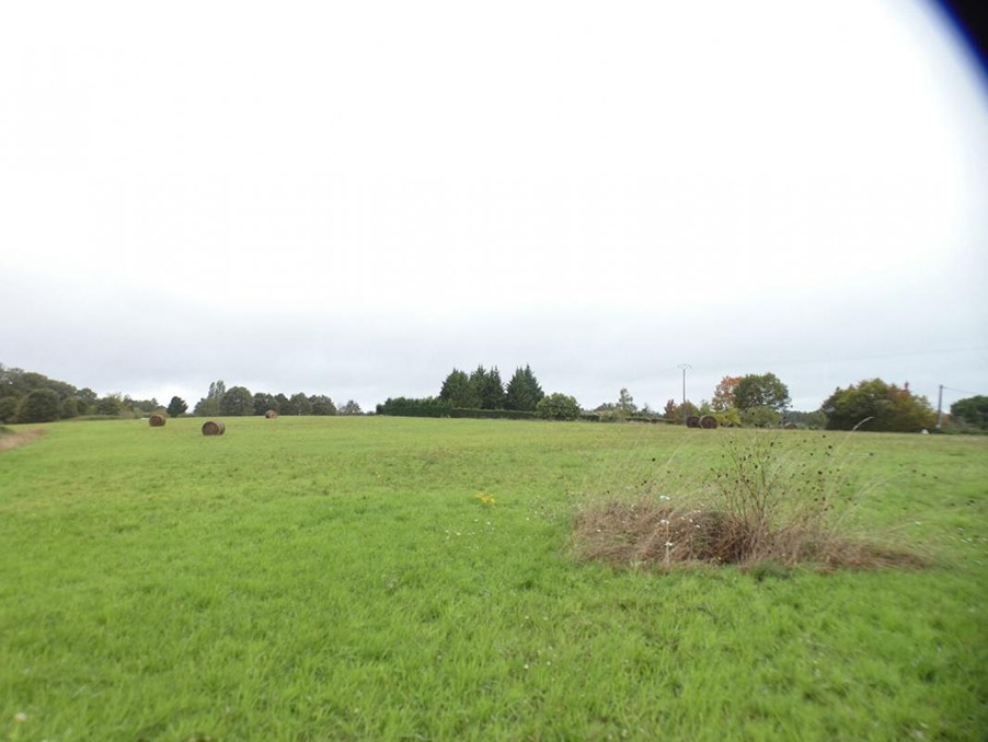 Vente Terrain Rouffignac-Saint-Cernin-de-Reilhac 36 000 €
