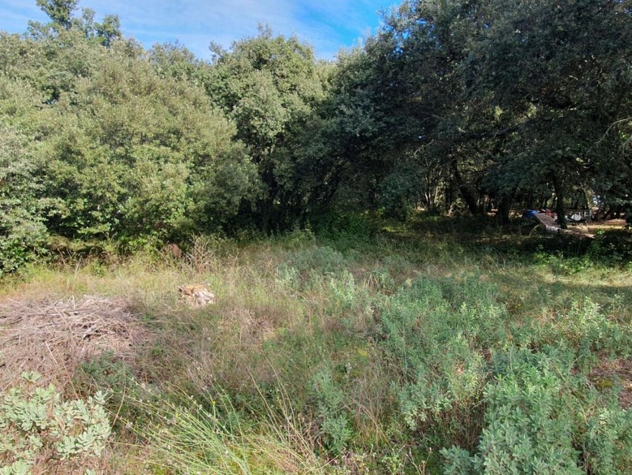 Vente Terrain Uzès  267 500 €