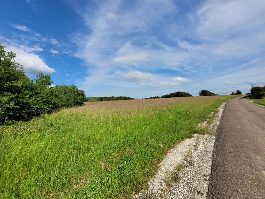 Vente Terrain Chaource  199 900 €