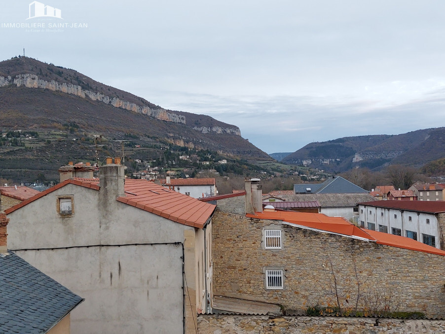 Vente Immeuble MILLAU  238 500 €