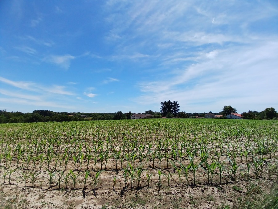 Vente Terrain MUGRON 59 900 €