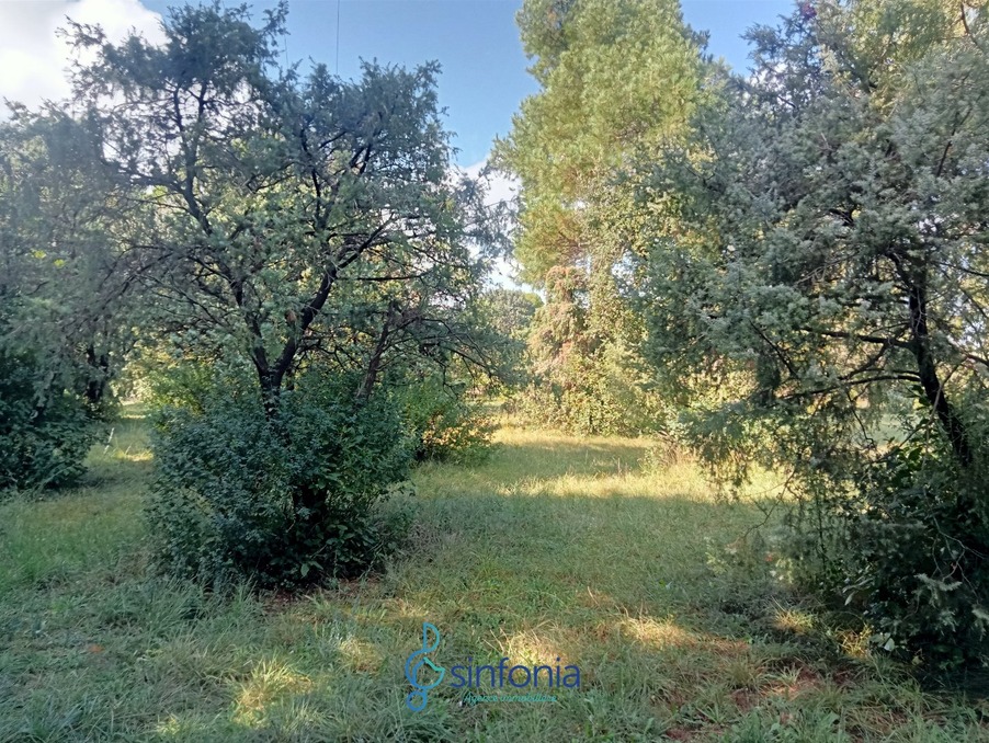 Vente Terrain SAINT SIFFRET  390 000 €
