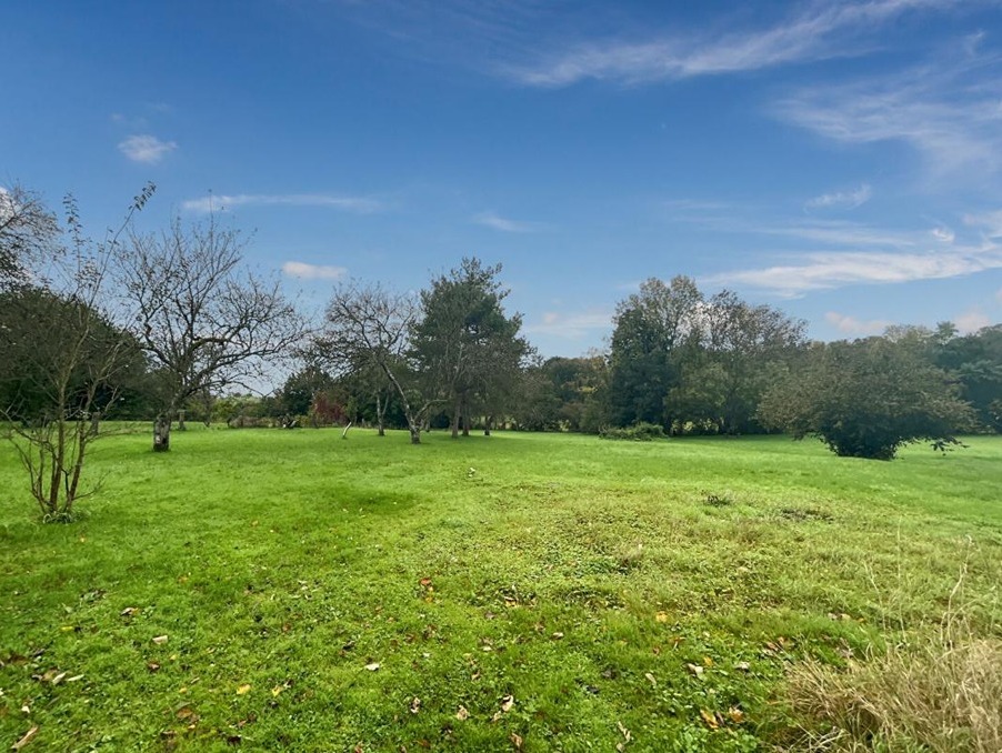 Vente Terrain Vittel 55 000 €