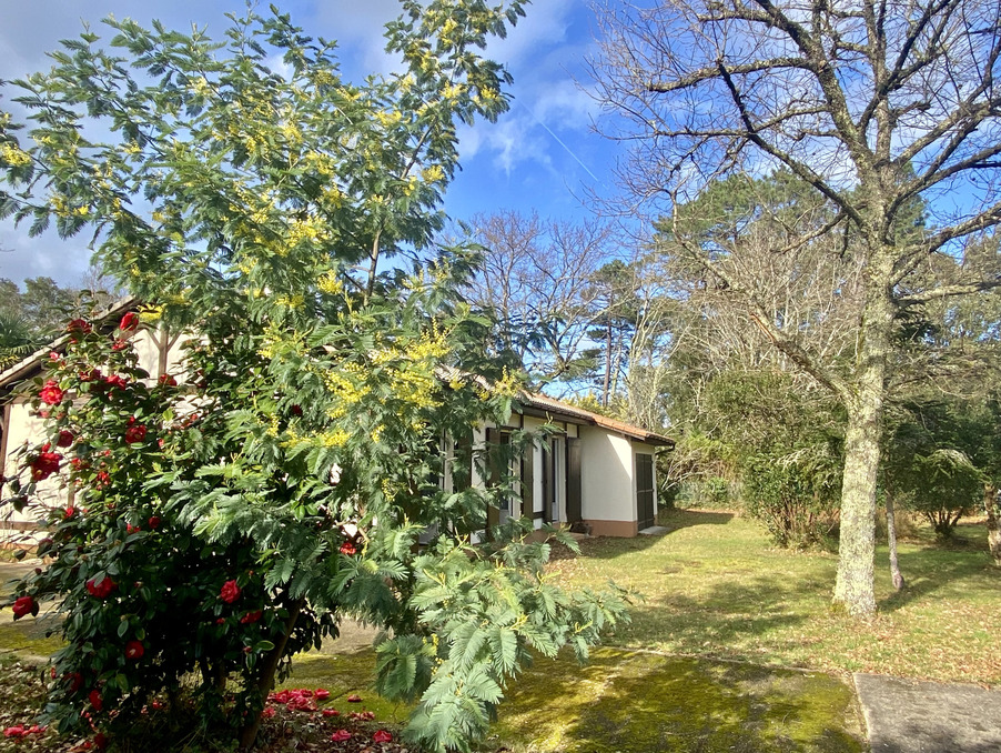 Vente Maison Moliets-et-Maa  367 500 €