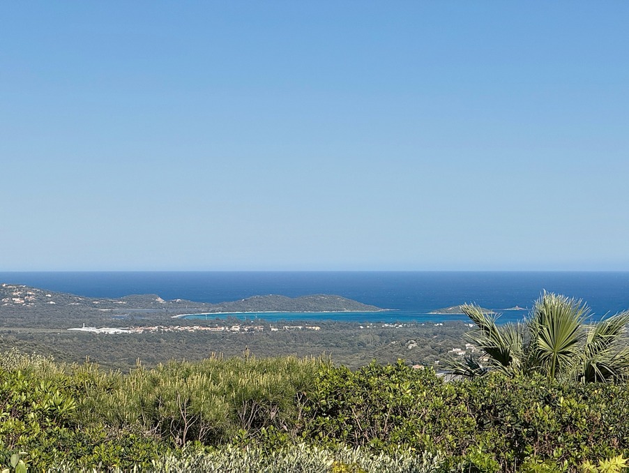 Vente Maison Porto vecchio 1 368 900 €