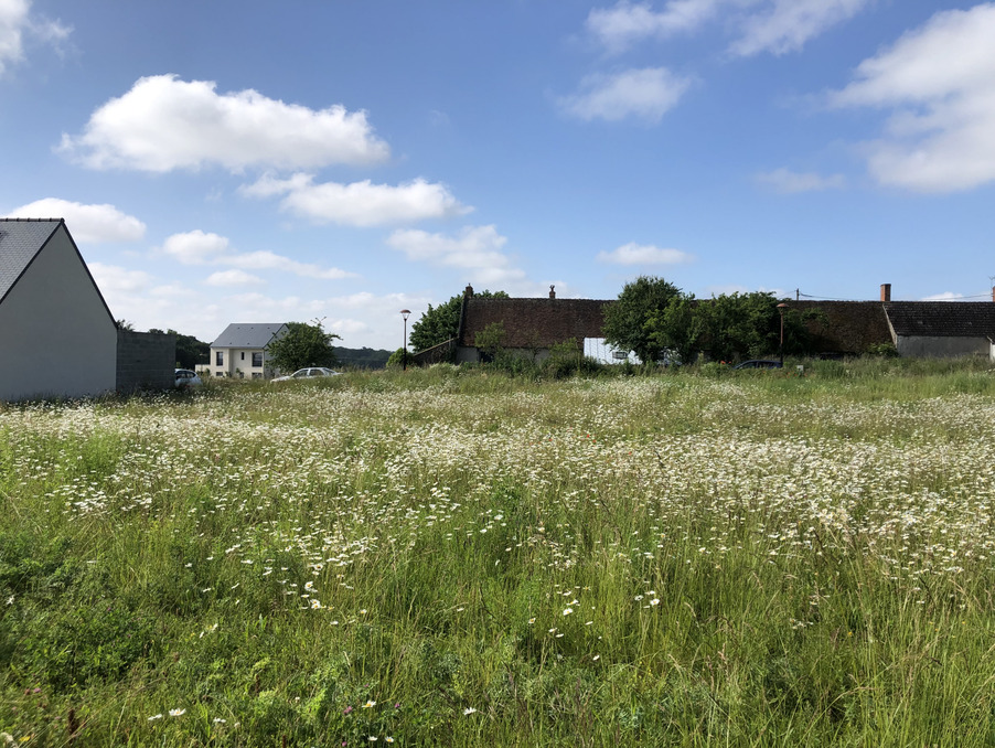 Vente Terrain Azay-sur-Cher  103 000 €