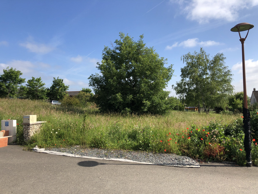 Vente Terrain Azay-sur-Cher 99 000 €