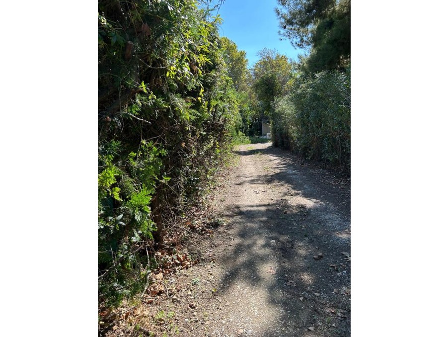 Vente Terrain Saint-André-de-Sangonis  180 000 €
