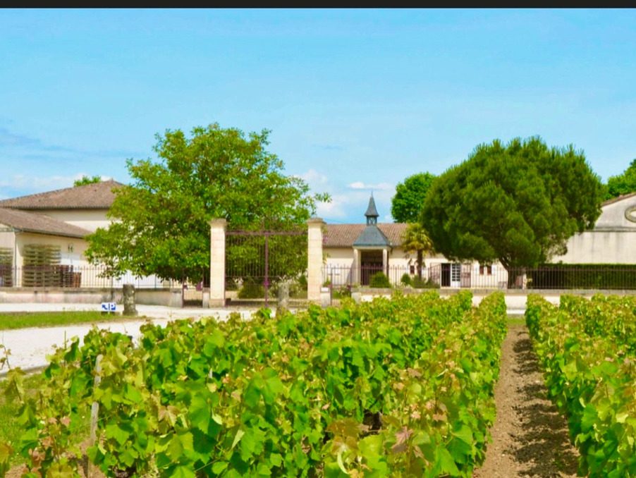 Vente Autre Saint-Sauveur 1 590 000 €