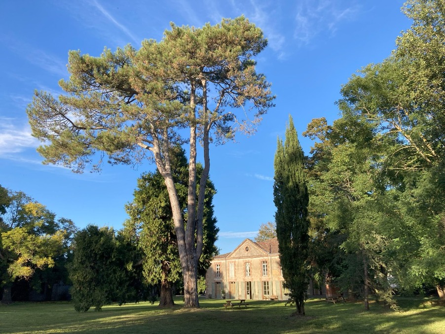 Vente Maison MONTECH  835 000 €