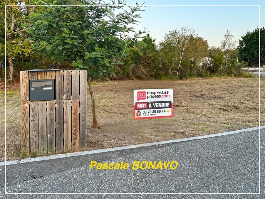 Vente Terrain Hourtin  186 150 €