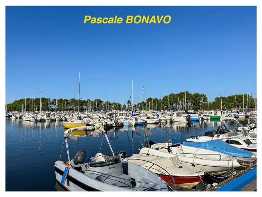Vente Terrain Hourtin  239 200 €
