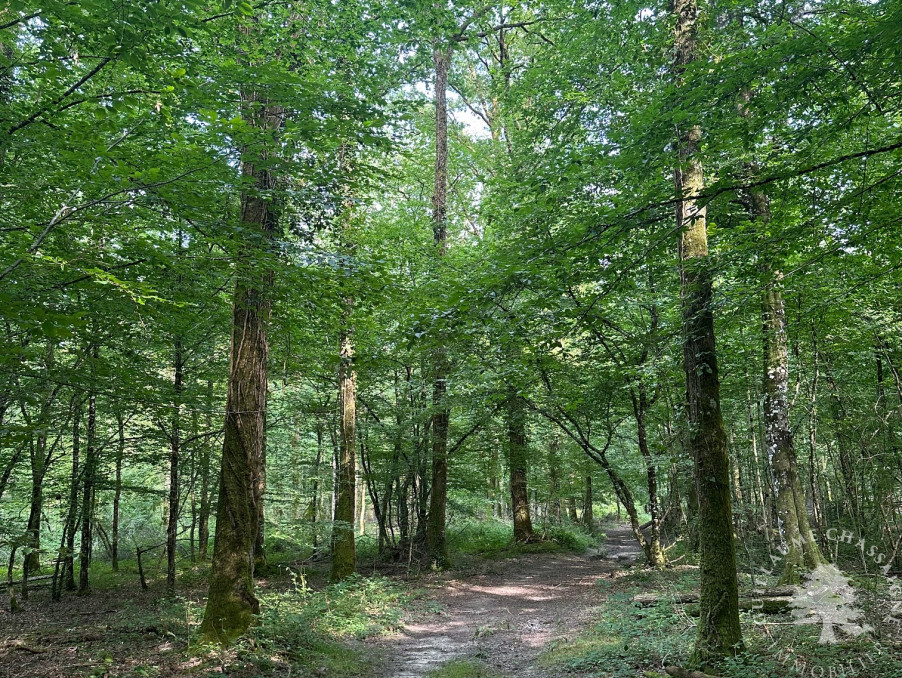 Vente Terrain VIERZON  296 800 €