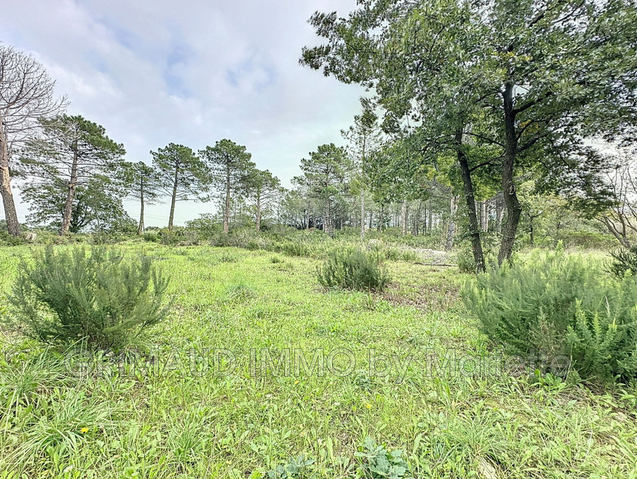 Vente Terrain Grimaud  510 000 €