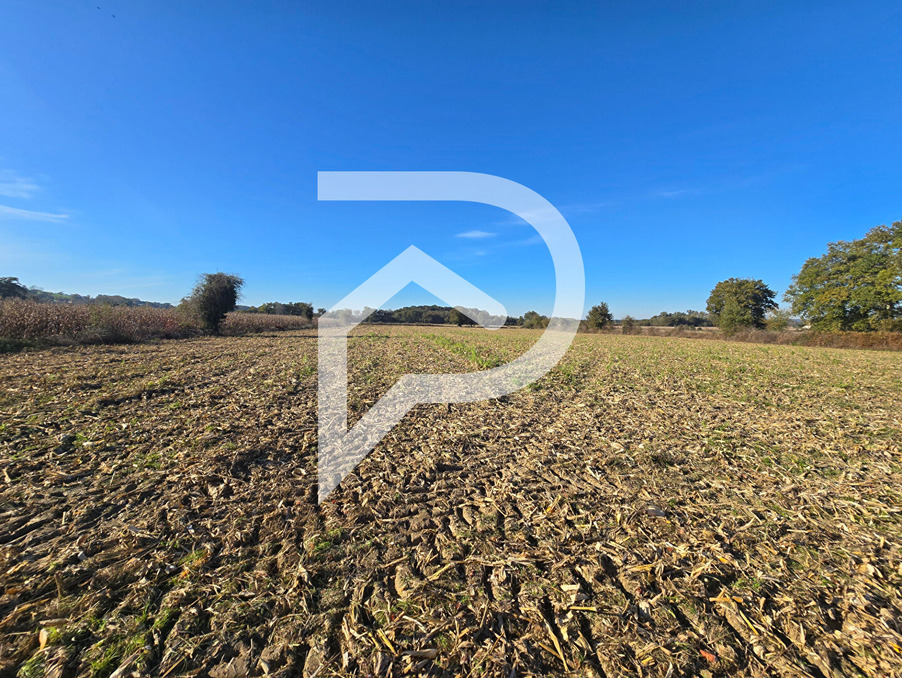 Vente Terrain Arthez de bearn 56 000 €