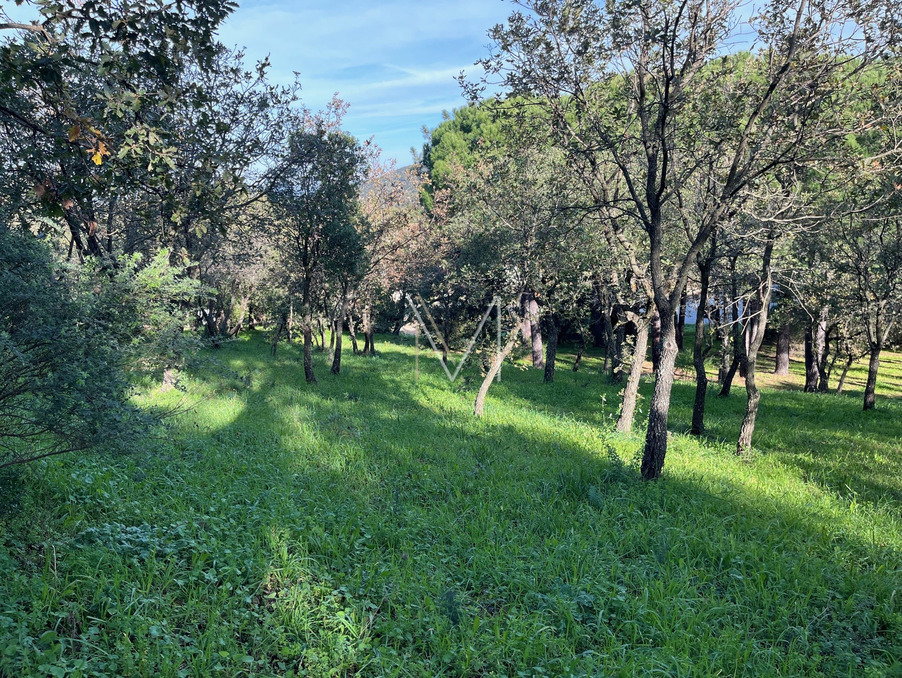 Vente Terrain Le Plan-de-la-Tour  480 000 €