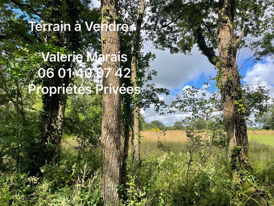 Vente Terrain Saint-Lyphard  259 975 €