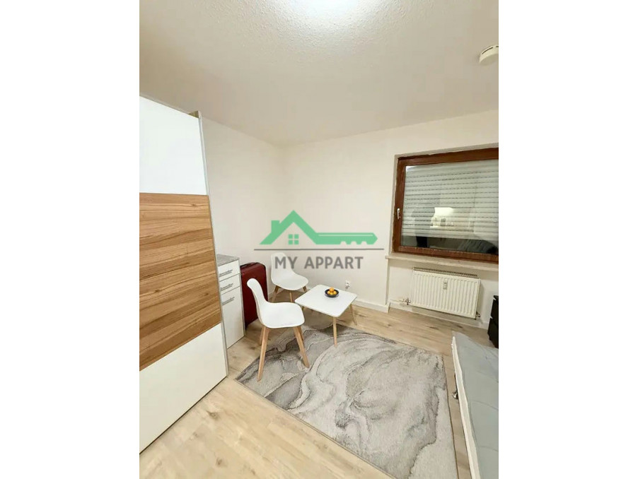 Location Appartement LYON 1ER ARRONDISSEMENT  720 €