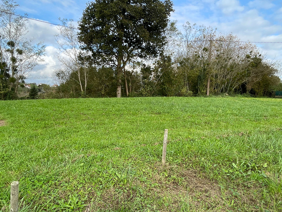Vente Terrain Urcuit  175 000 €