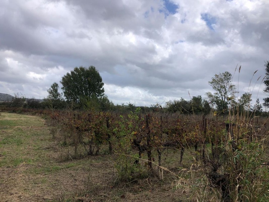 Vente Terrain Saint-Hilaire-d'Ozilhan 50 000 €