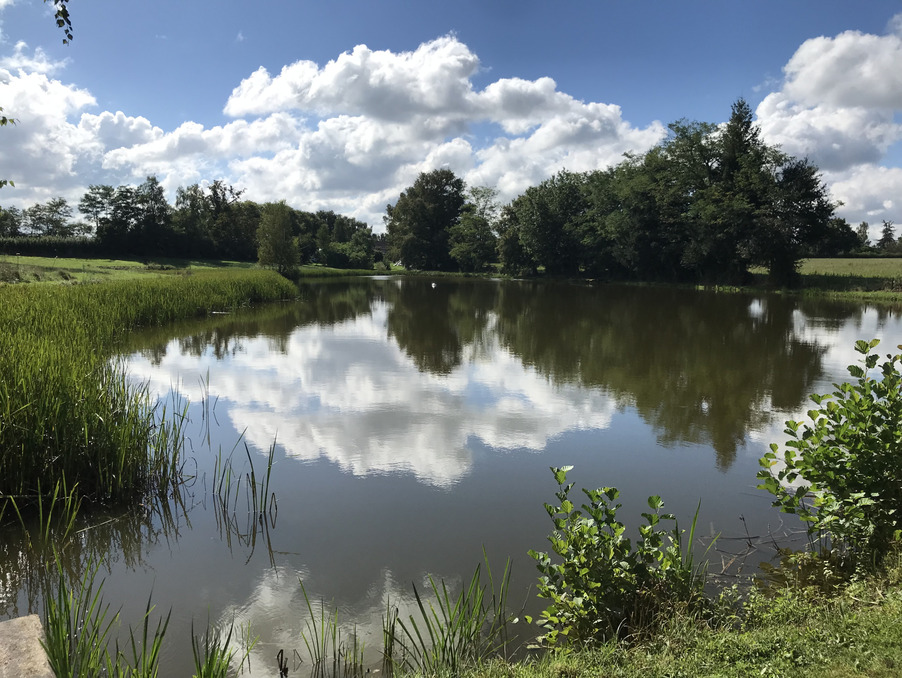 Vente Terrain Vitry-en-Charollais  106 000 €