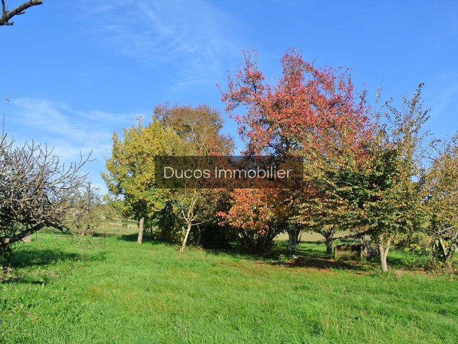 Vente Terrain Beaupuy 64 000 €