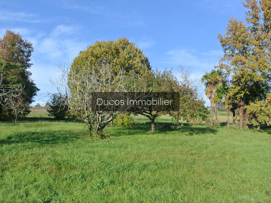 Vente Terrain Beaupuy 64 000 €