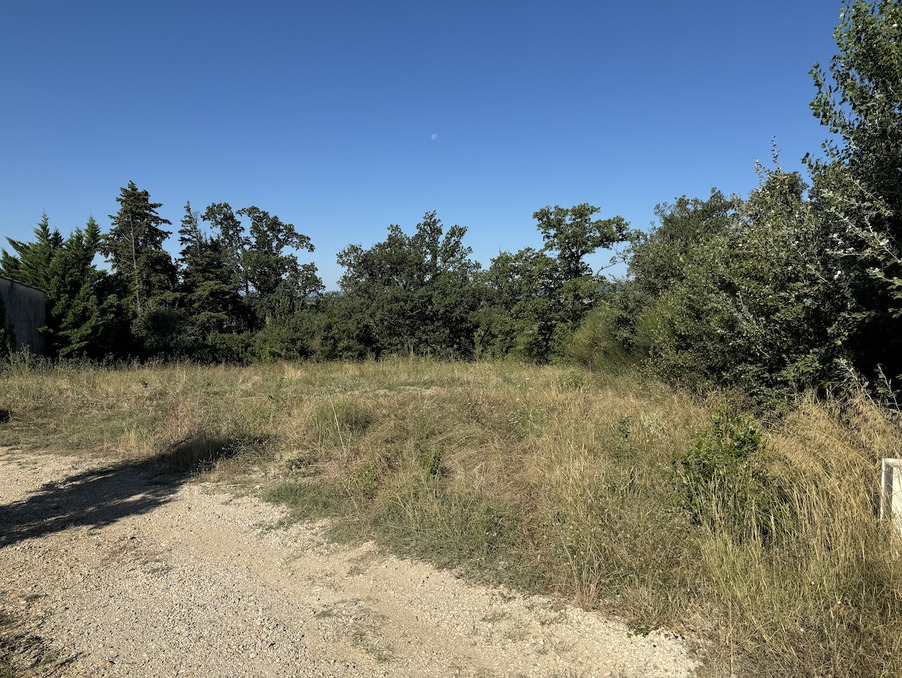 Vente Terrain Cairanne  133 000 €