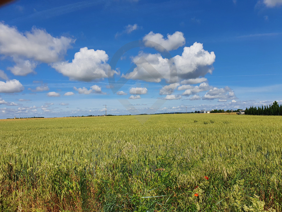 Vente Terrain ANGLIERS 87 300 €