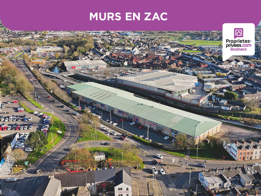Vente Professionnel Metz 1 024 000 €