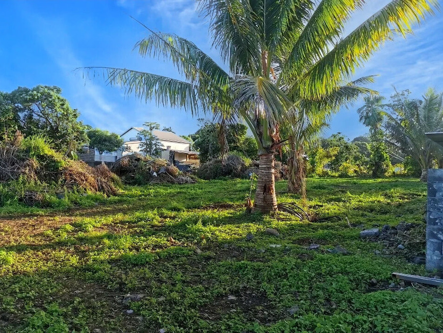 Vente Terrain Saint-Benoît 96 000 €