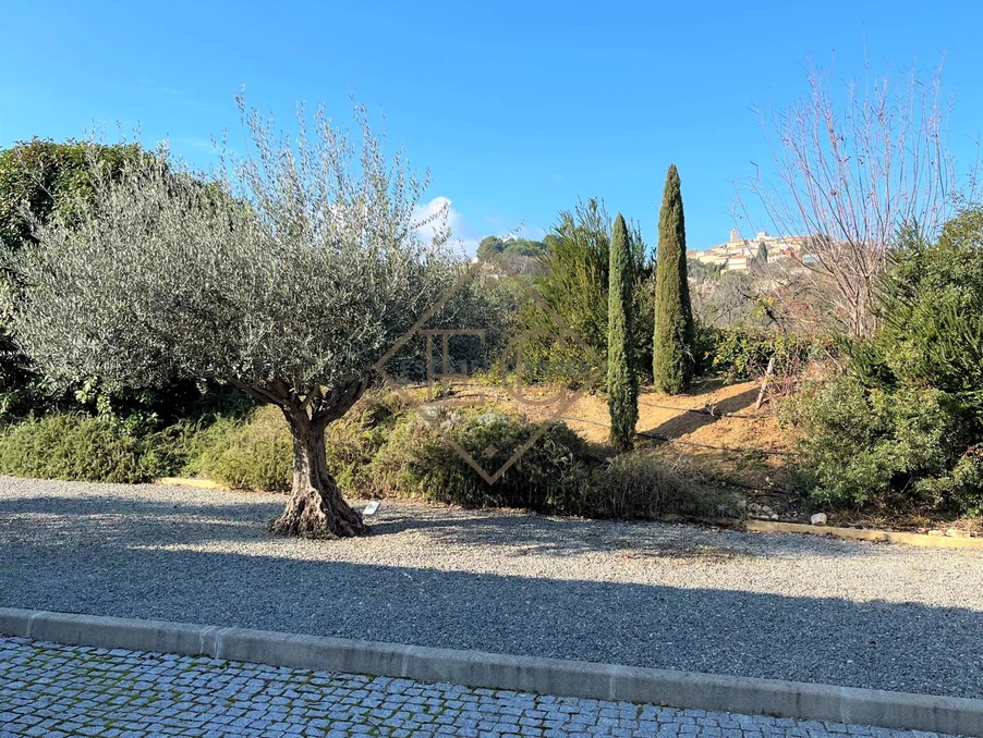 Vente Terrain Mougins 1 590 000 €