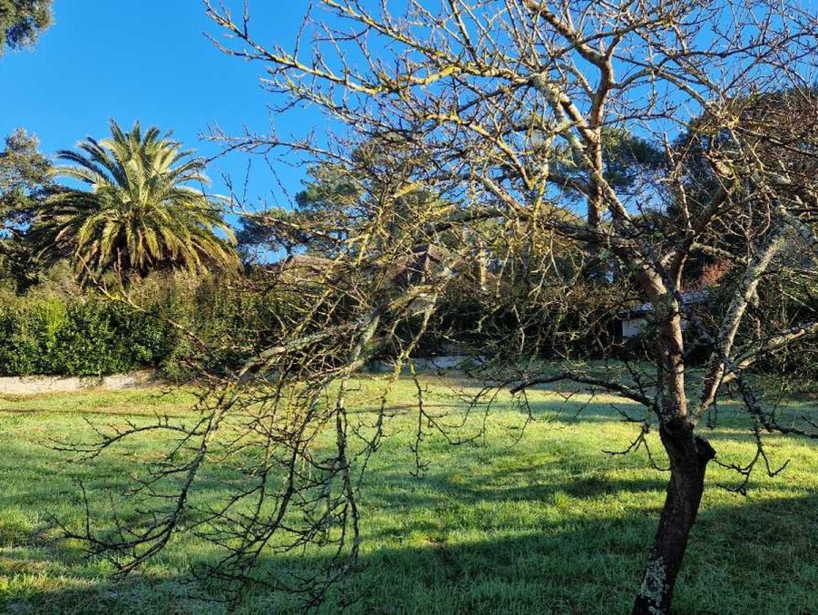 Vente Terrain BOUCAU  250 000 €