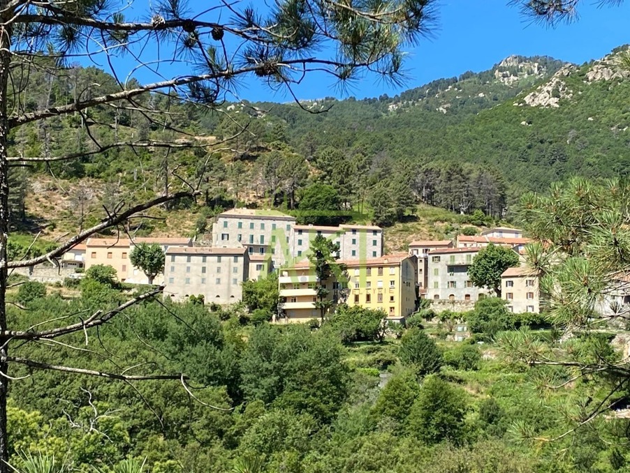 Vente Immeuble Ghisoni  870 000 €