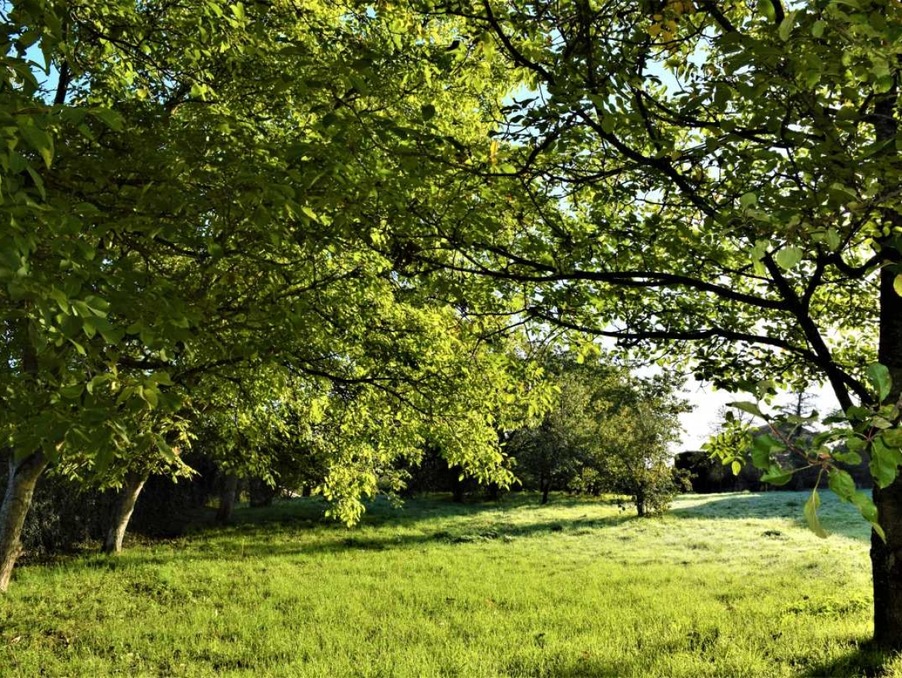 Vente Terrain SAINT MEDARD EN FOREZ  124 500 €