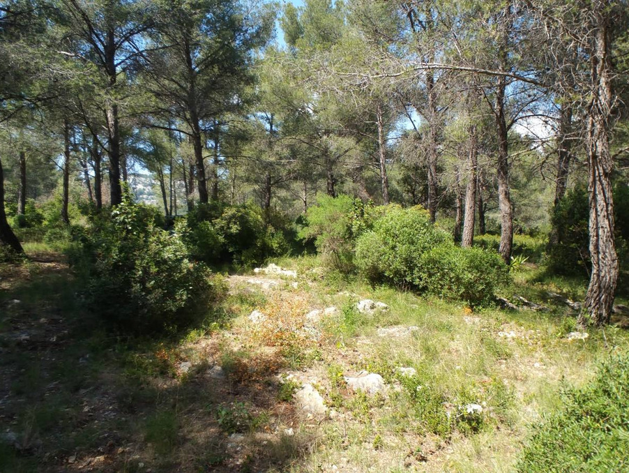 Vente Terrain Ollioules  472 500 €