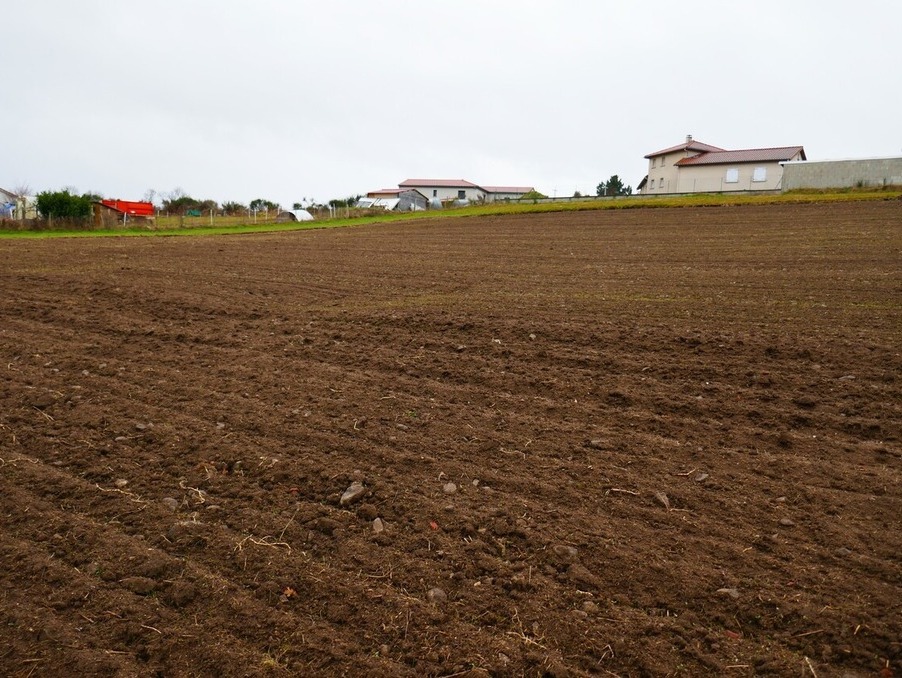 Vente Terrain Montfaucon en Velay 58 500 €