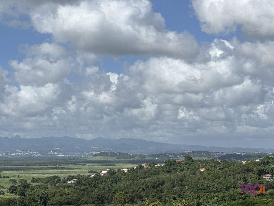 Vente Terrain Rivière-Salée  119 000 €