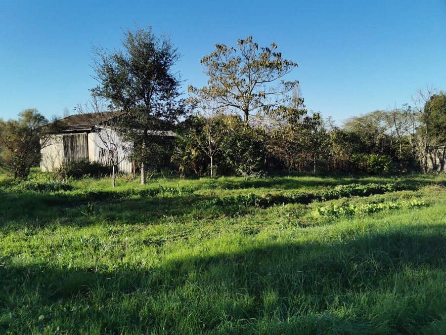 Vente Terrain SAINT SAUVEUR DE MEILHAN 48 000 €