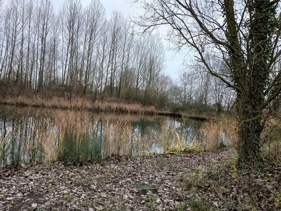 Vente Terrain Lille  126 500 €
