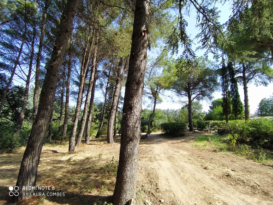 Vente Maison Clermont-l'Hérault  653 000 €