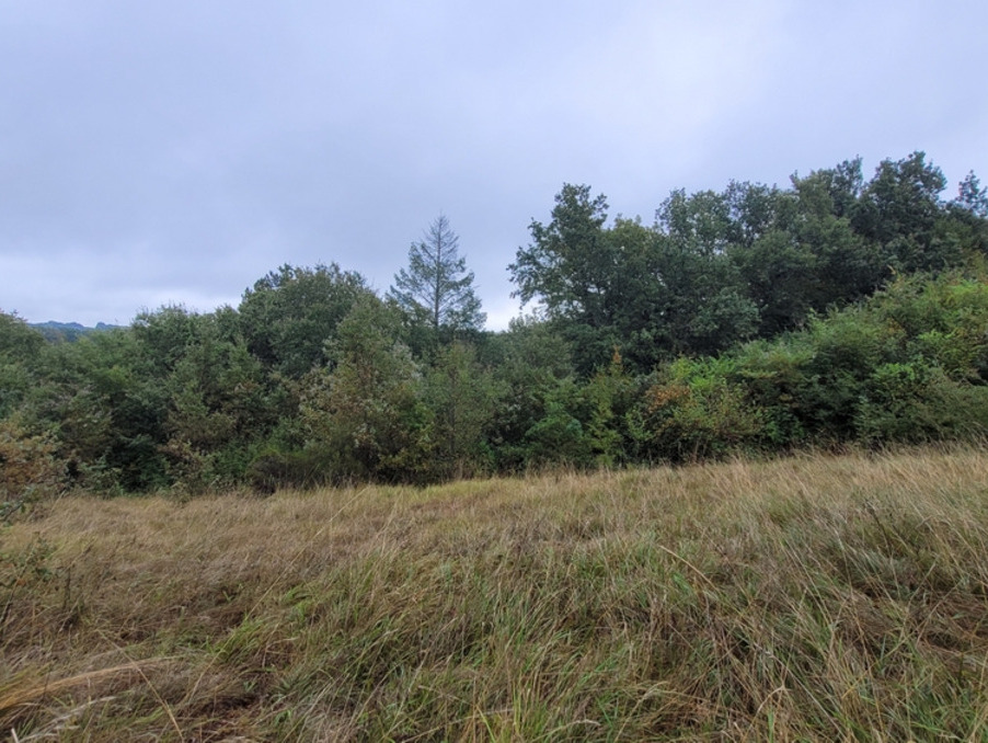 Vente Terrain Noailles 24 990 €