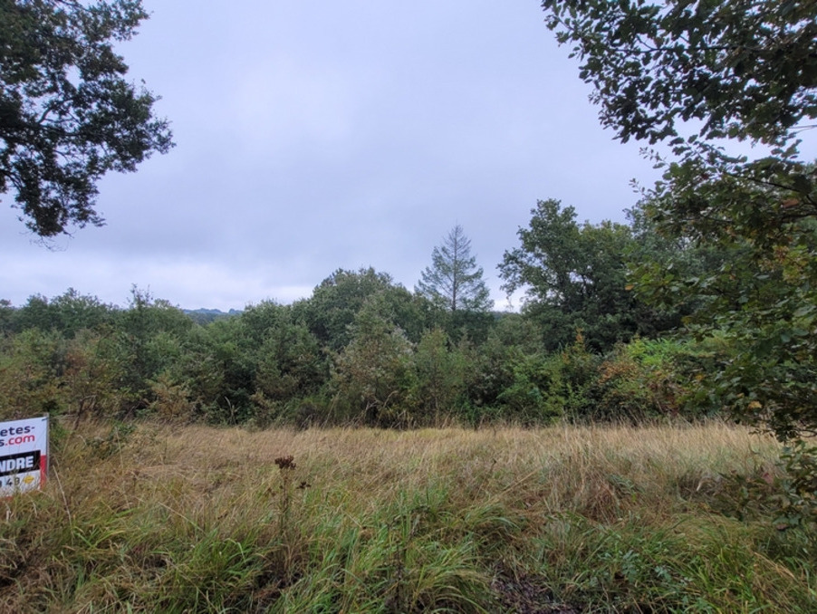 Vente Terrain Noailles 27 990 €