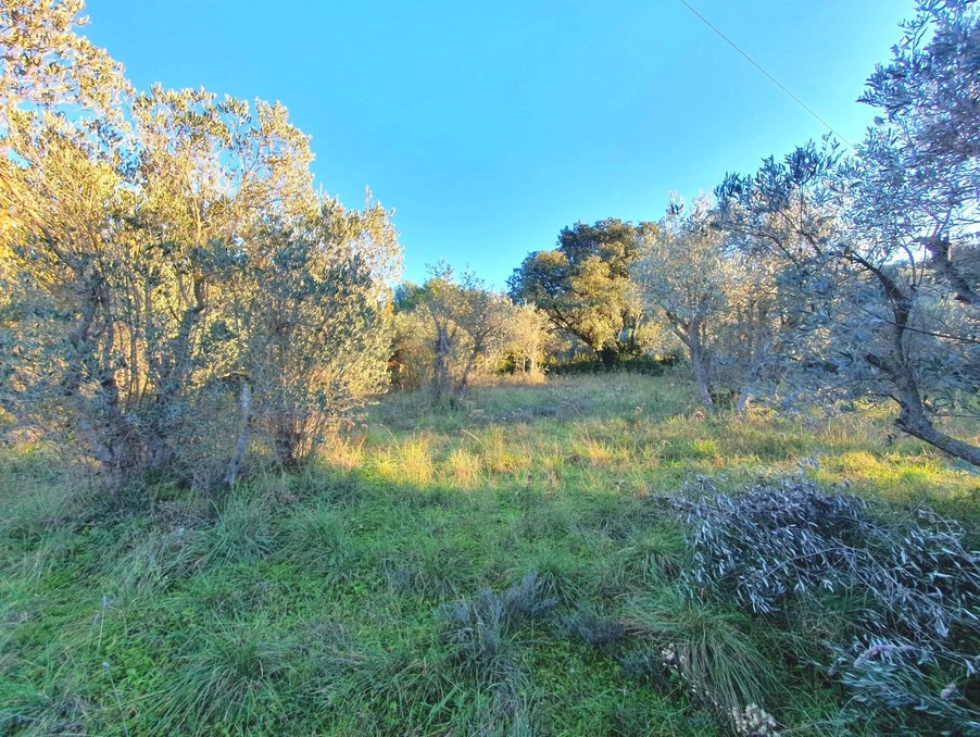 Vente Terrain Cavaillon  181 000 €
