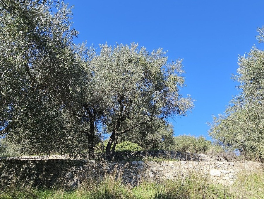 Vente Terrain TOURRETTE LEVENS  580 000 €