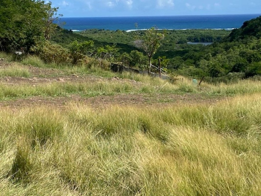 Vente Terrain Le Marin  174 000 €